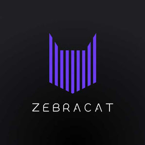 Zebracat - AI Text-To-Video Transformer